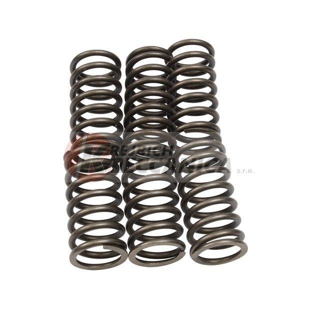 CLUTCH SPRING (6 piece) (Alternative part)
