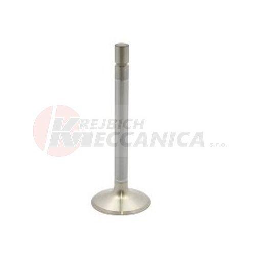 EXHAUST VALVE