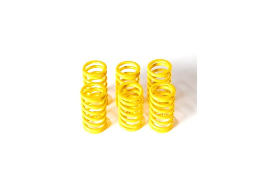 6M01 - KIT CLUTCH SPRINGS