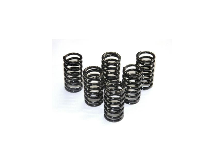 6M01 - KIT CLUTCH SPRINGS