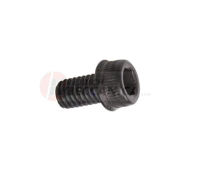 SCREW TCEIF M6X10 8.8
