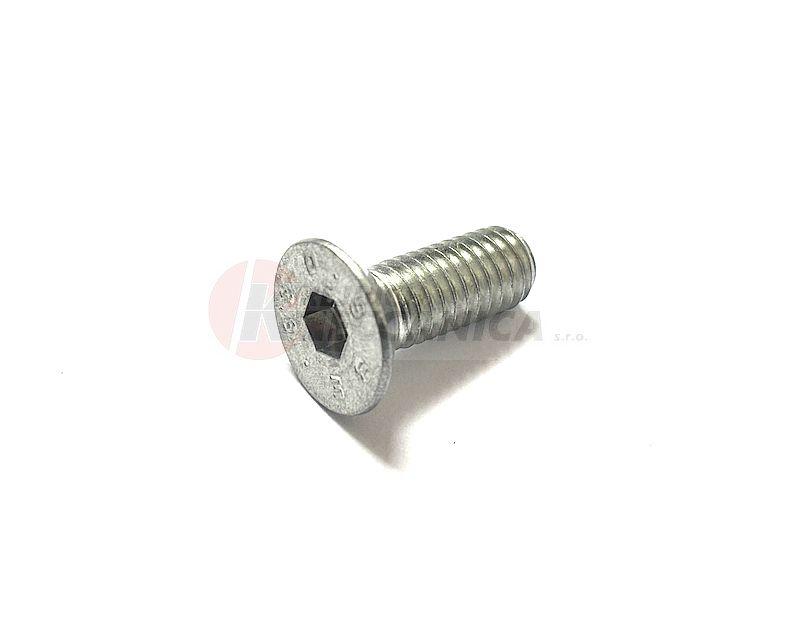 SCREW (SILVER)