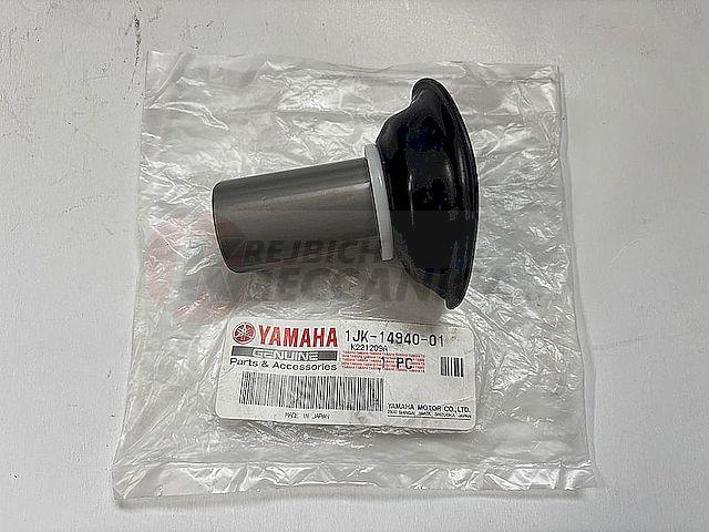 DIAPHRAGM ASSY