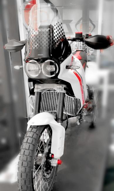 GR14 - DESERTX H20 RADIATOR GUARD