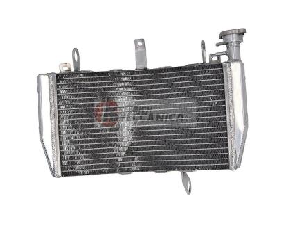 WATER COOLER ASSY (Alternative part)