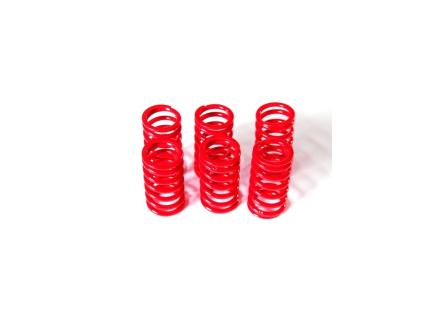 6M01 - KIT CLUTCH SPRINGS