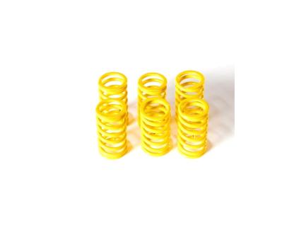 6M01 - KIT CLUTCH SPRINGS