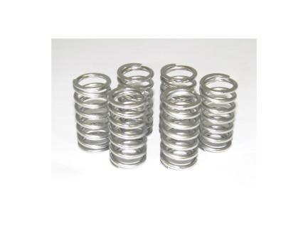 6M01 - KIT CLUTCH SPRINGS