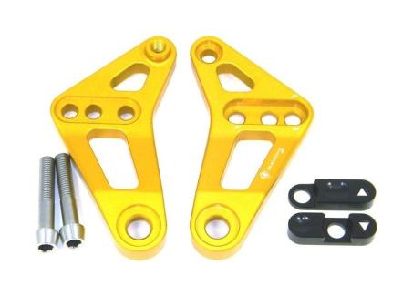 BSP01 - REAR LINK SUSPENSION PANIGALE