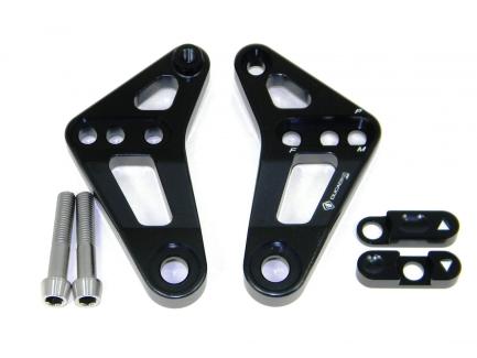 BSP01 - REAR LINK SUSPENSION PANIGALE