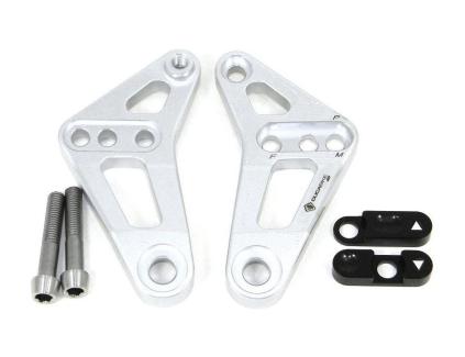 BSP01 - REAR LINK SUSPENSION PANIGALE