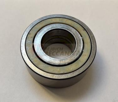 OBLIQUE BEARING 2 ROWS SF. D28