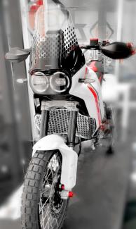 GR14 - DESERTX H20 RADIATOR GUARD