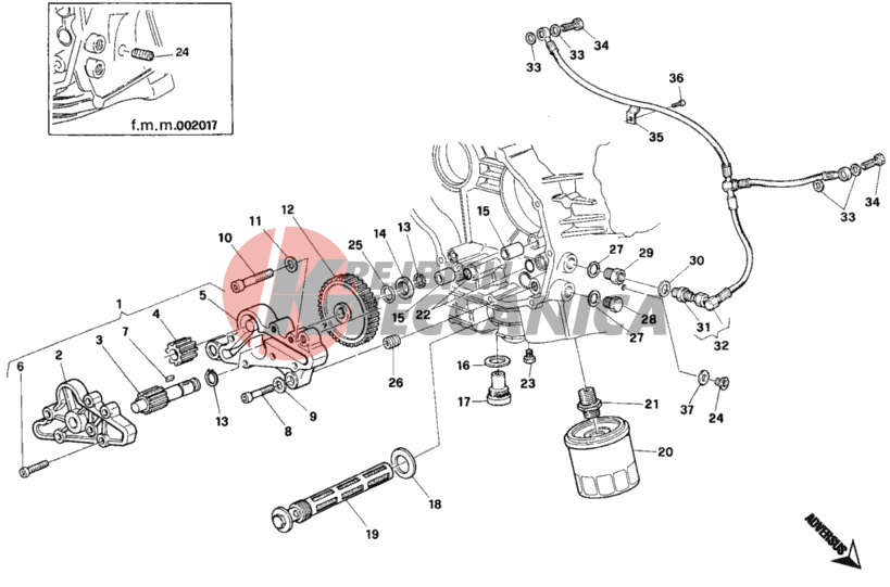 OIL PUMP - FILTER DUAL SEATER