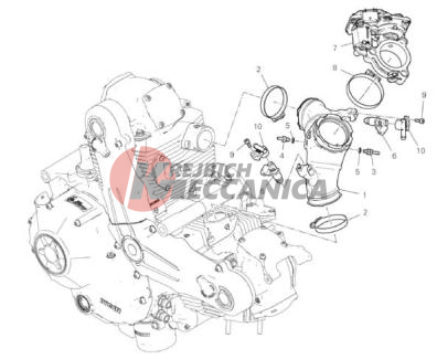 THROTTLE BODY