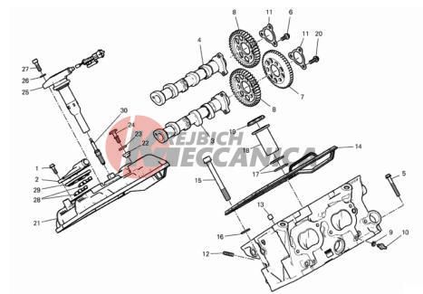 REAR HEAD - TIMING SYSTEM