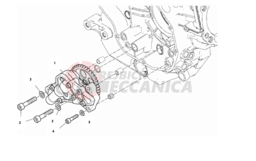 OIL PUMP (10/18)