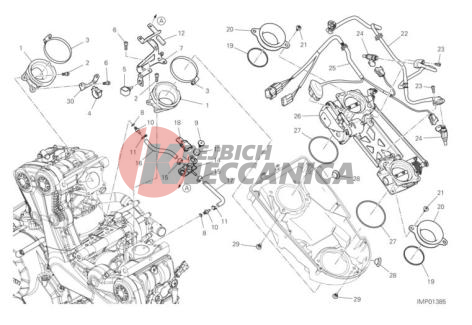 THROTTLE BODY