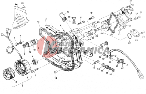 WATER PUMP - ALTERNATOR COVER