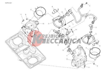 THROTTLE BODY