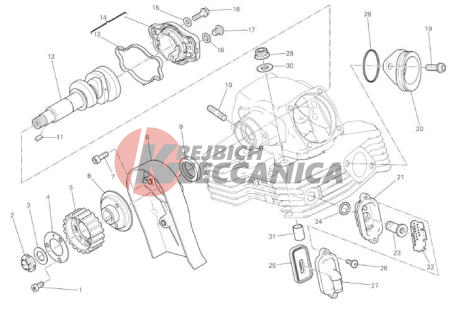 VERTICAL CYLINDER HEAD - TIMING