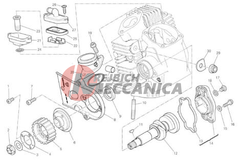 HORIZONTAL HEAD - TIMING SYSTEM