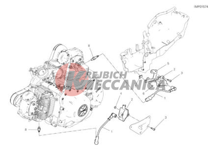 WIRING HARNESS (COIL)