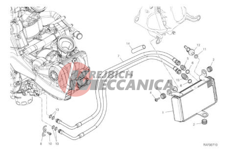 OIL COOLER