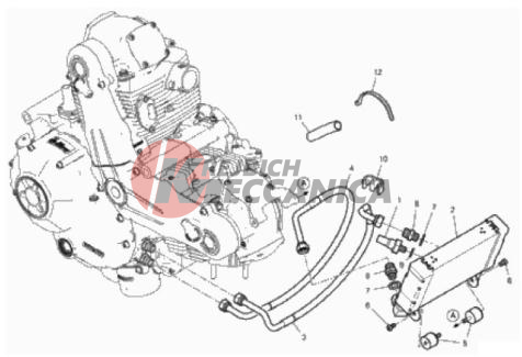 OIL COOLER