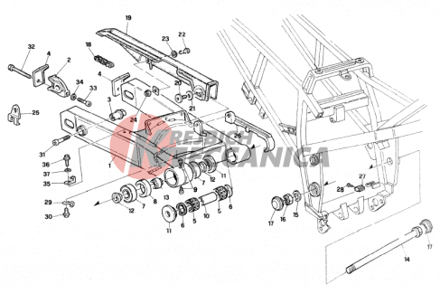 FORK - CHAIN - CHAIN COVER
