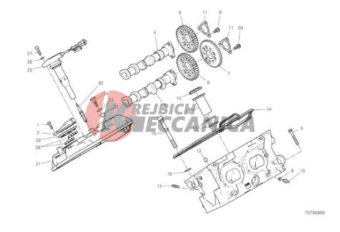 REAR HEAD - TIMING SYSTEM