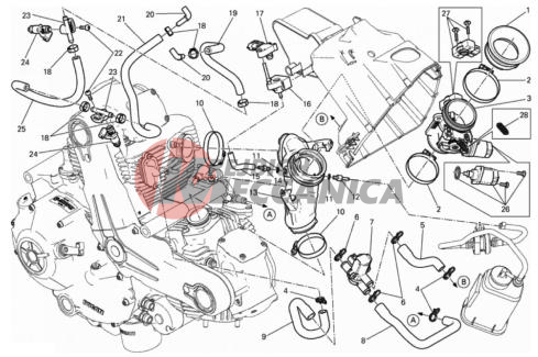 THROTTLE BODY