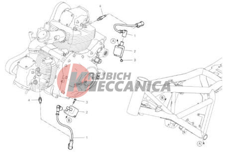 WIRING HARNESS (COIL)