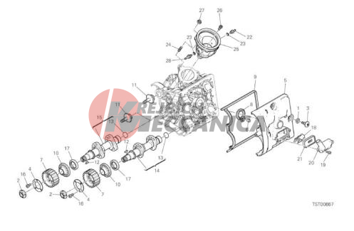 HORIZONTAL HEAD - TIMING SYSTEM