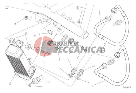 OIL COOLER