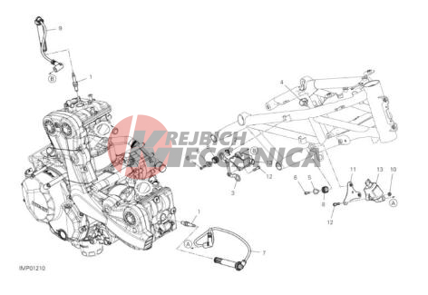WIRING HARNESS (COIL)