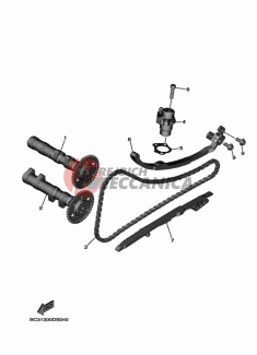 CAMSHAFT & CHAIN