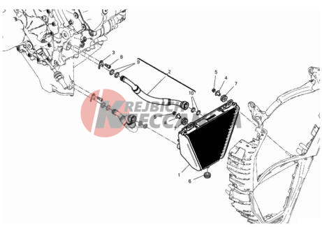 OIL COOLER