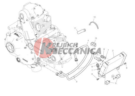 OIL COOLER