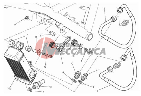 OIL COOLER