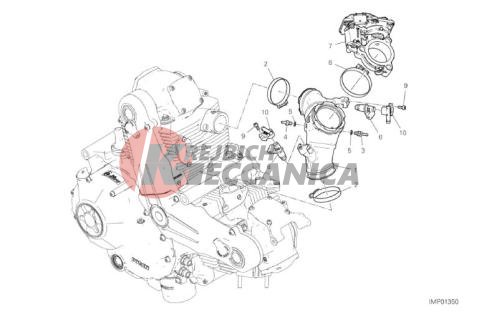 THROTTLE BODY