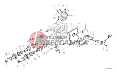 HORIZONTAL HEAD - TIMING SYSTEM