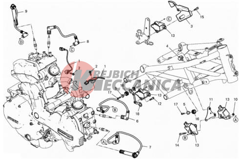WIRING HARNESS (COIL)
