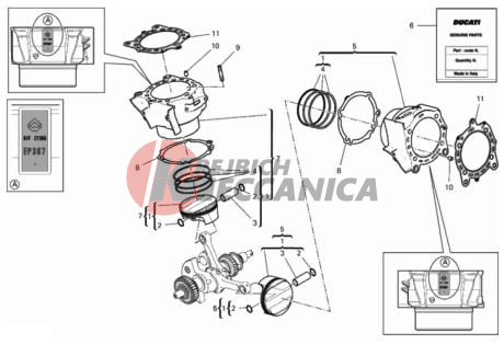 CYLINDERS - PISTONS (ASSO WERKE)