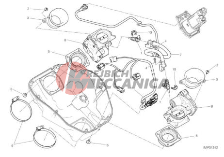 THROTTLE BODY