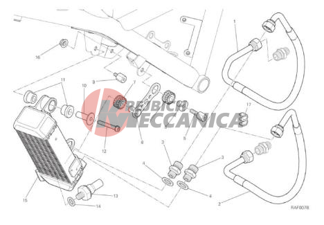 OIL COOLER