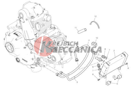 OIL COOLER