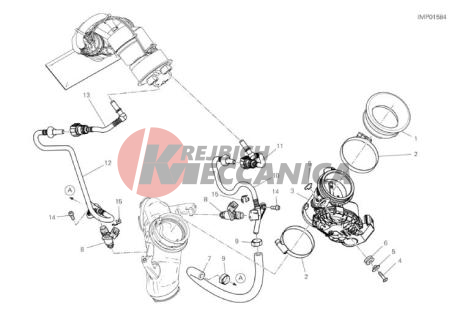 THROTTLE BODY