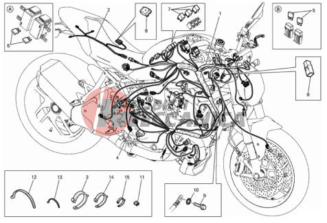 WIRING HARNESS
