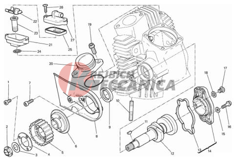 HORIZONTAL HEAD – TIMING SYSTEM
